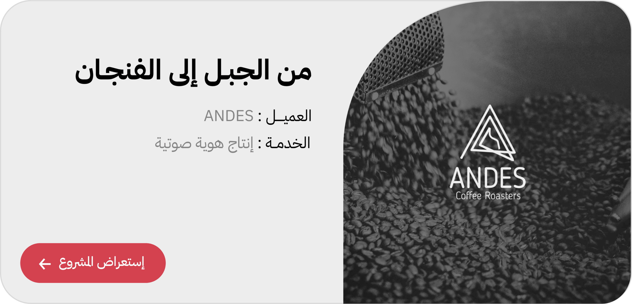 Andes Brand Music Strategy KSA | VOZ