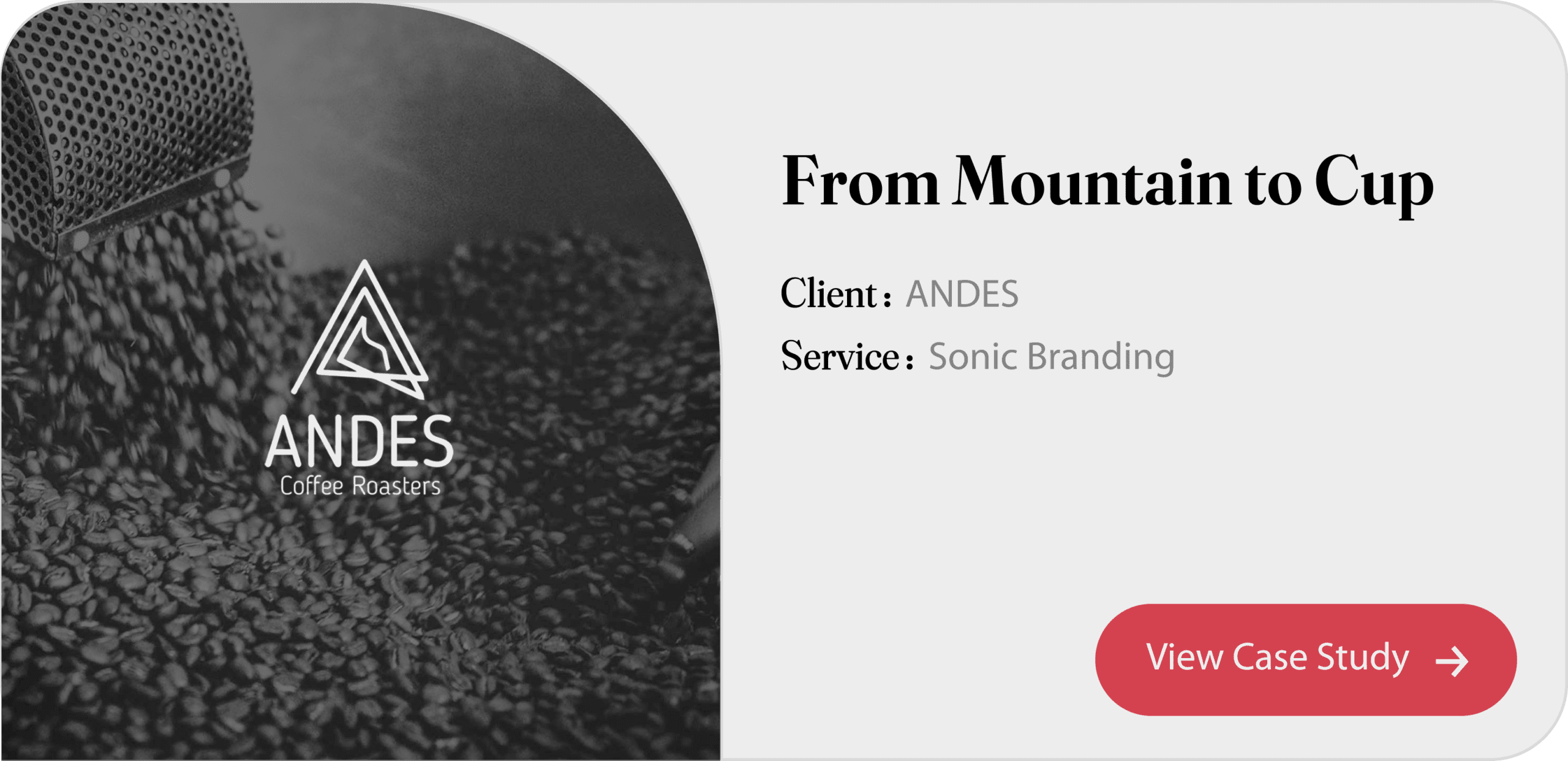 Andes Sound Identity Saudi Arabia | VOZ